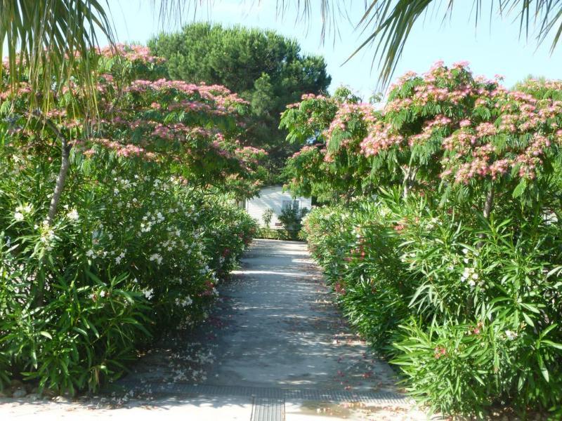 Camping La Pinède Enchantée Argelès-sur-Mer Exterior foto