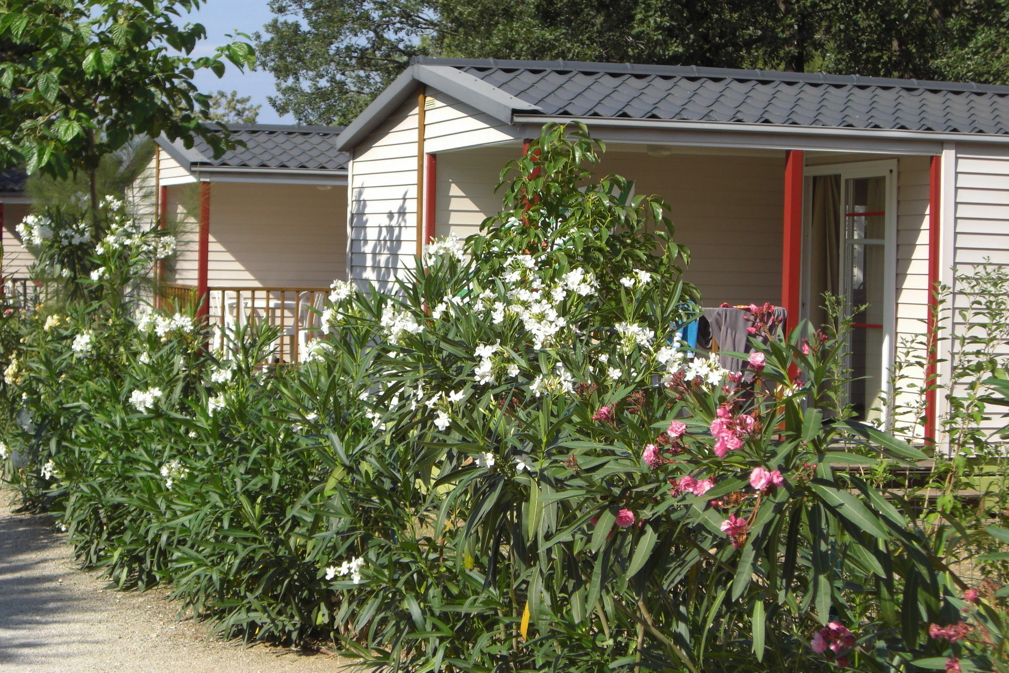 Camping La Pinède Enchantée Argelès-sur-Mer Exterior foto